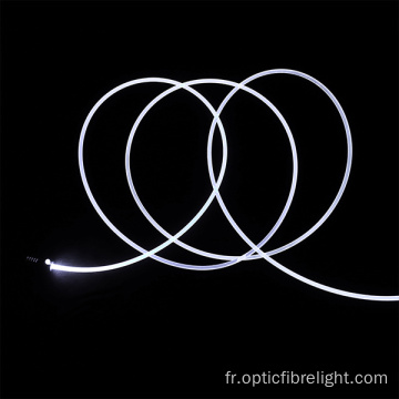Transfert de lumière à fibre optique latérale de 3,0 mm